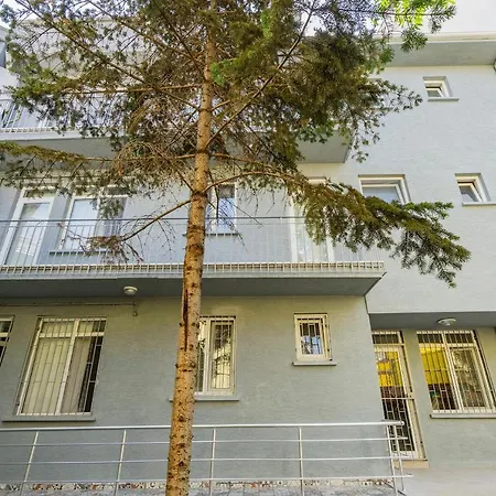 Spacious In The Historical Center Of Apartment Bursa